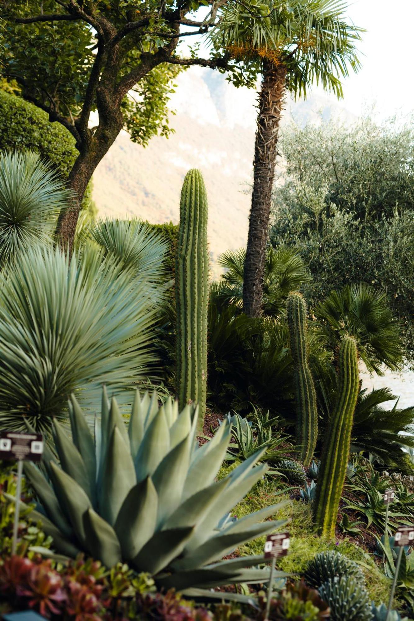 Hotel Villa Cipressi, by R Collection Hotels Varenna Esterno foto